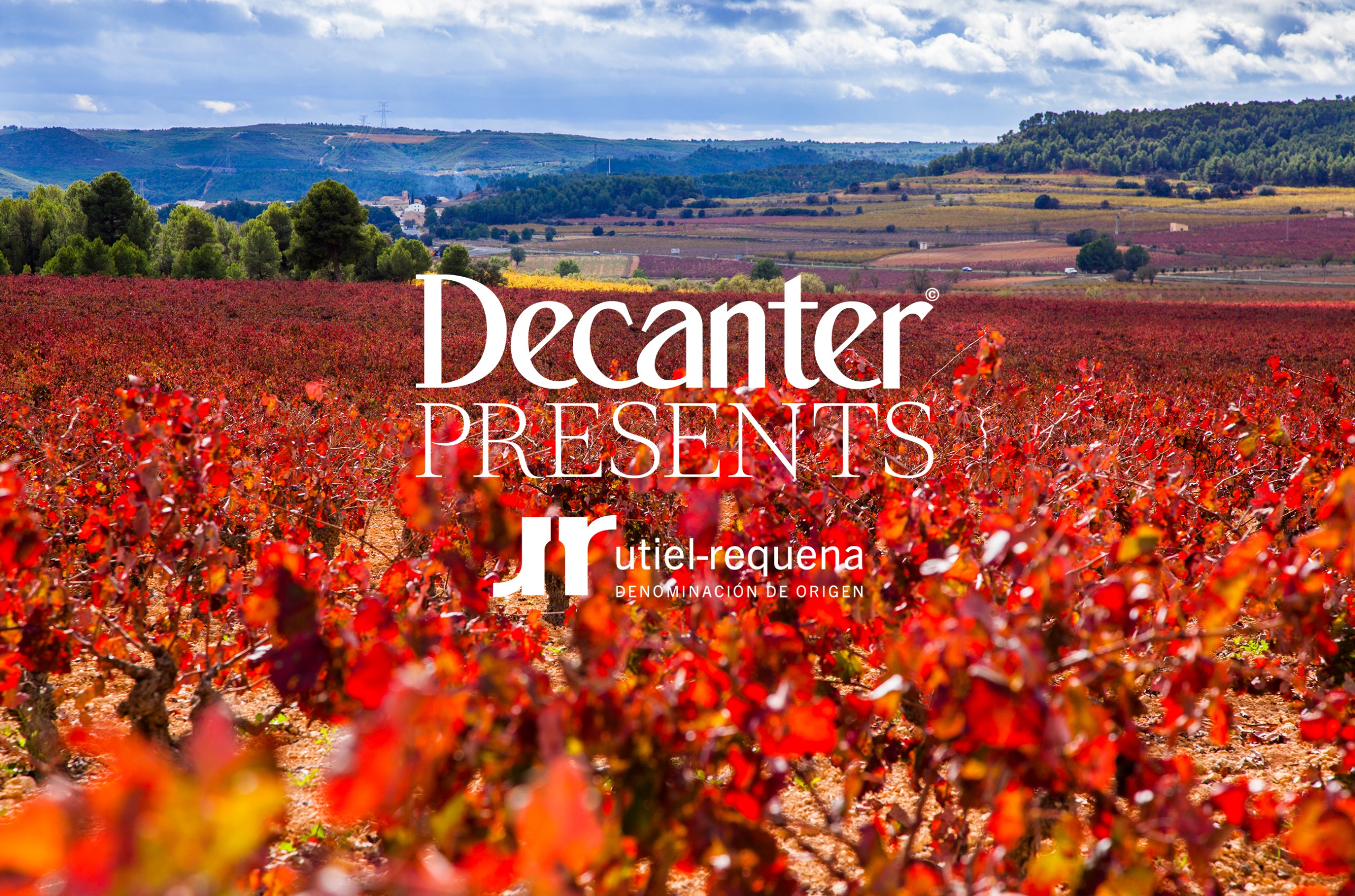 Vineyard with red-leaved vines with 'Decanter Presents' logo over the top in white