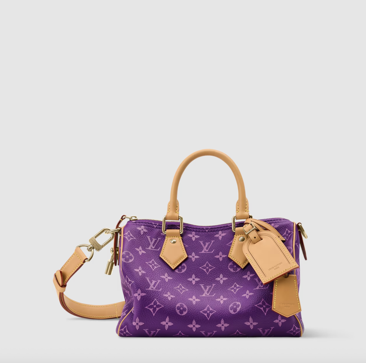 Louis Vuitton Men's, Speedy P9 Bandouliere 25