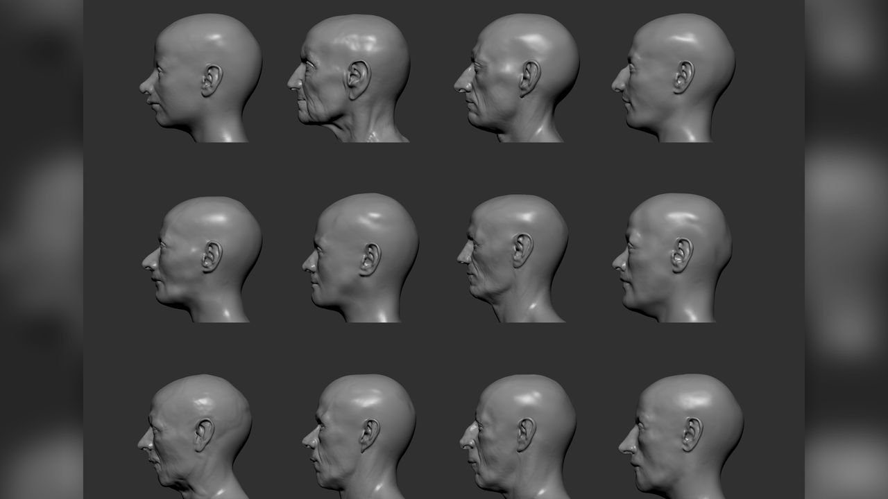 Twelve digitally reconstructed faces in profile from La Almoloya and La Bastida.