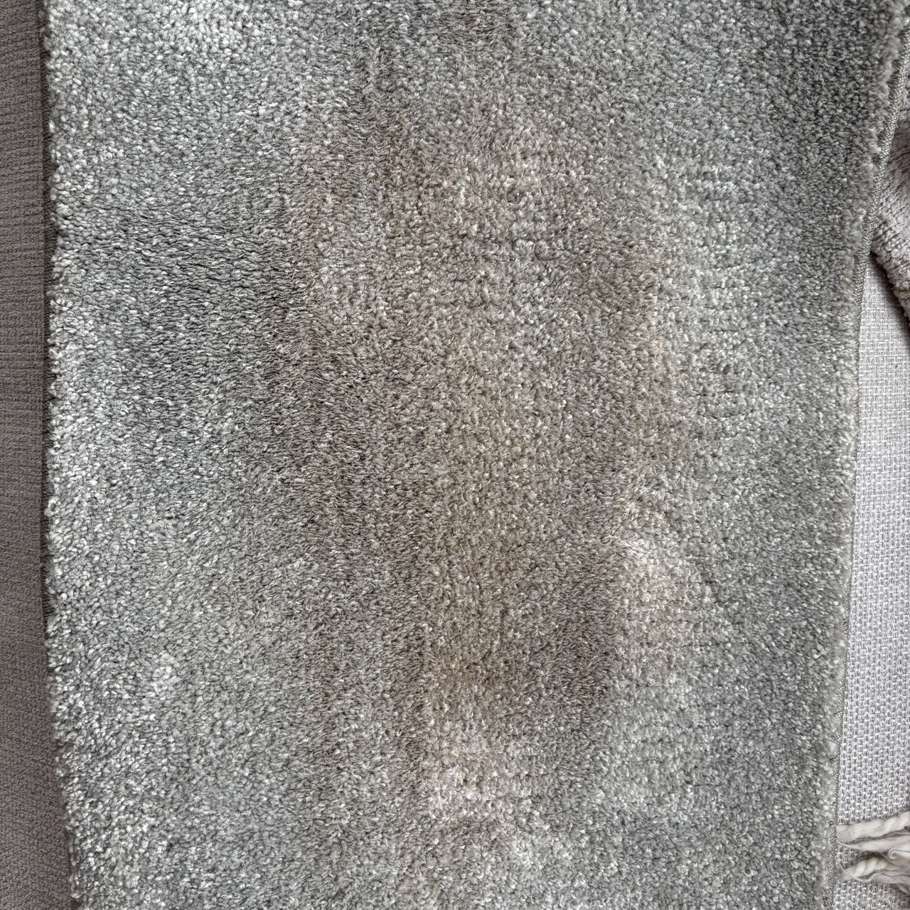VAX Platinum SmartWash XL carpet washer results