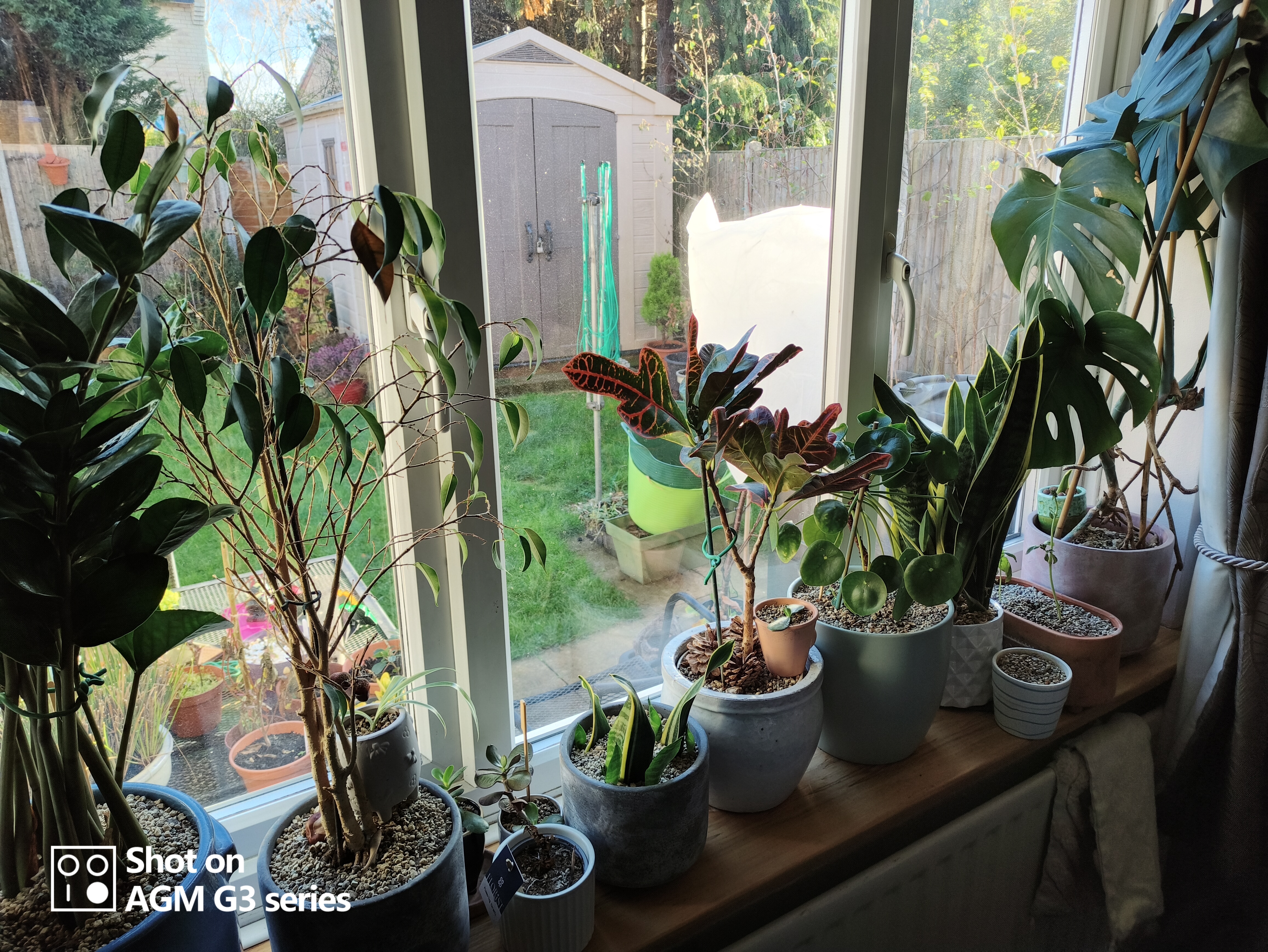 AGM G3 Pro photo and thermal examples