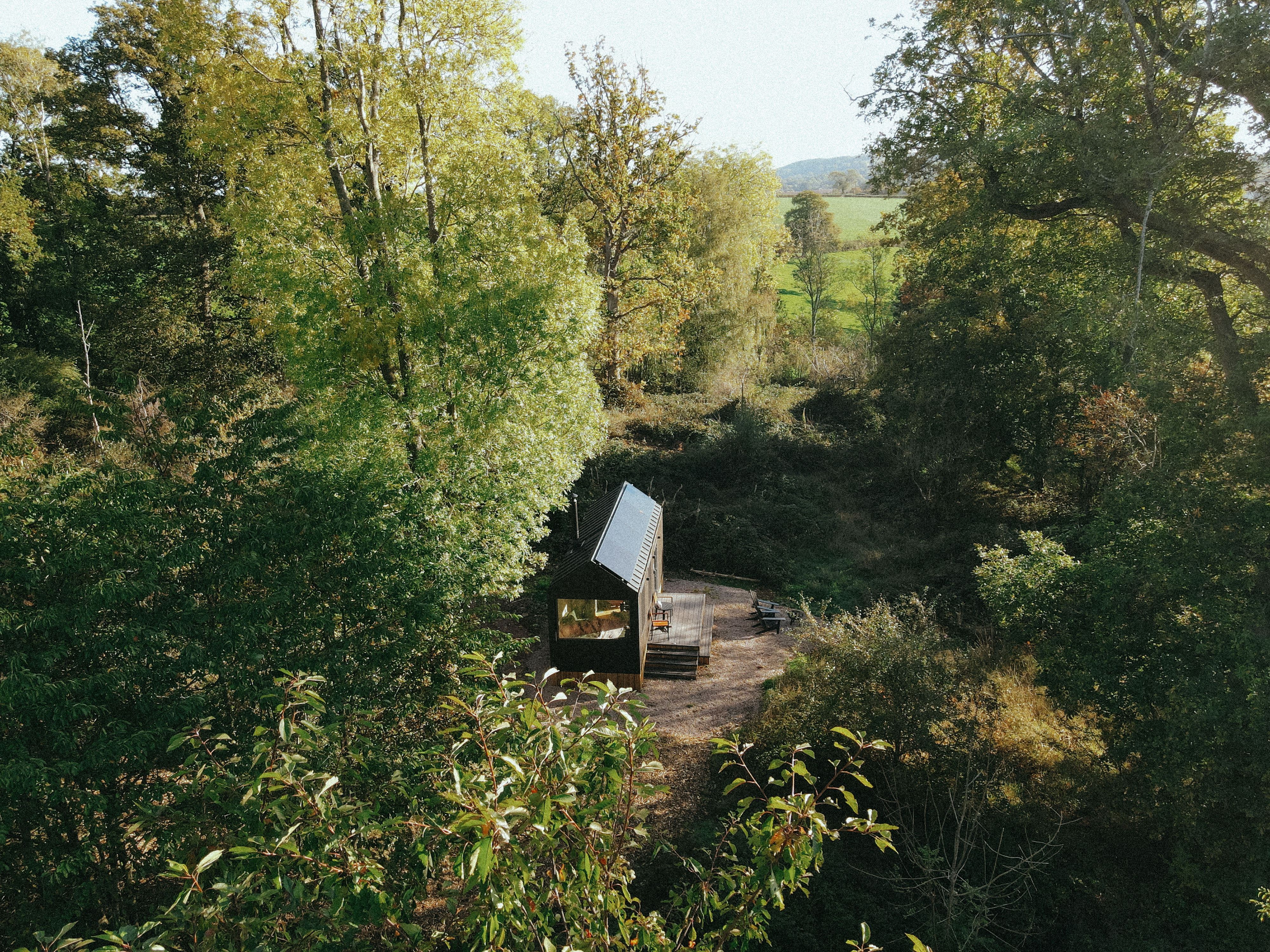 cabin in the woods