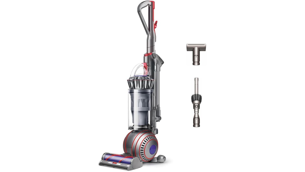 Dyson Ball Animal 3