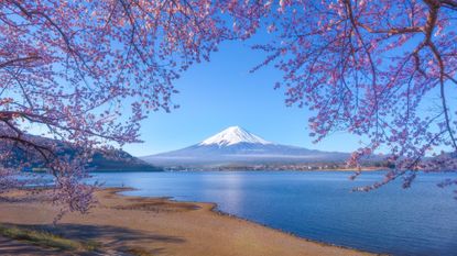 Mount Fuji