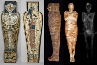 The coffin, cartonnage case and pregnant mummy.