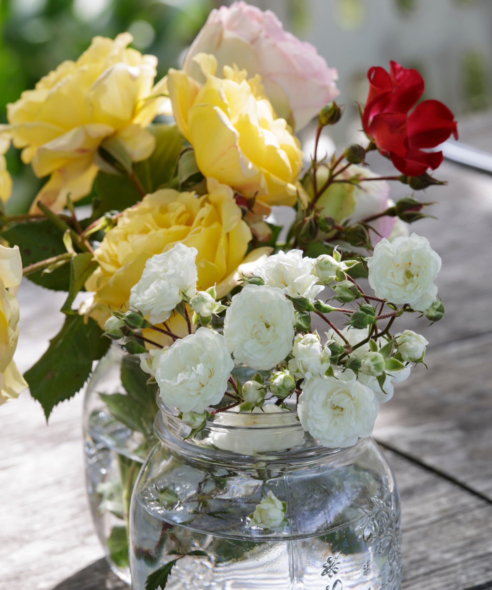 Two large mason jars filled with water and hand-tied bouquets of white, yellow and red roses
