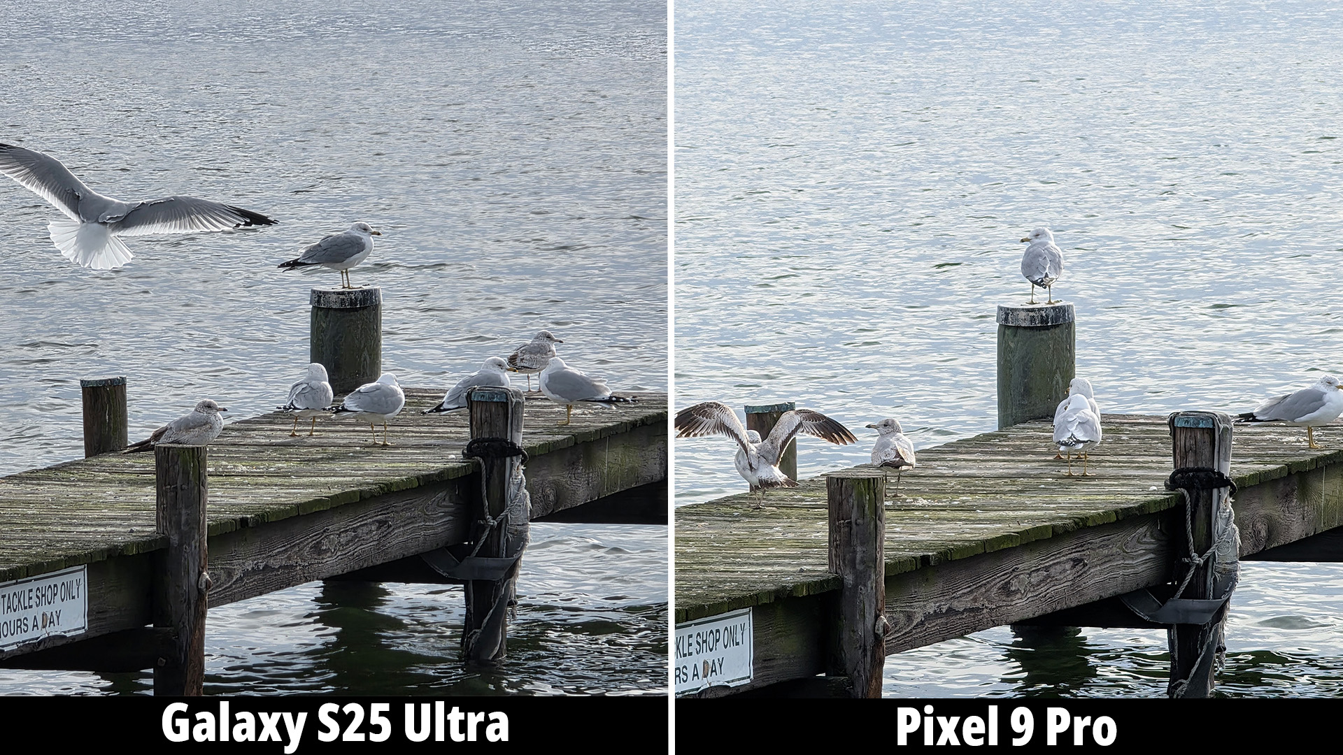 Samsung Galaxy S25 Ultra camera versus the Google Pixel 9 Pro