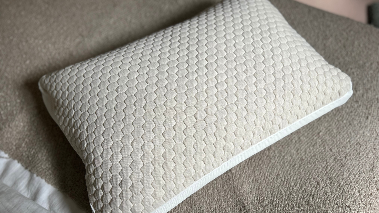 Soak &amp; Sleep Shredded Memory Foam Standard Pillow