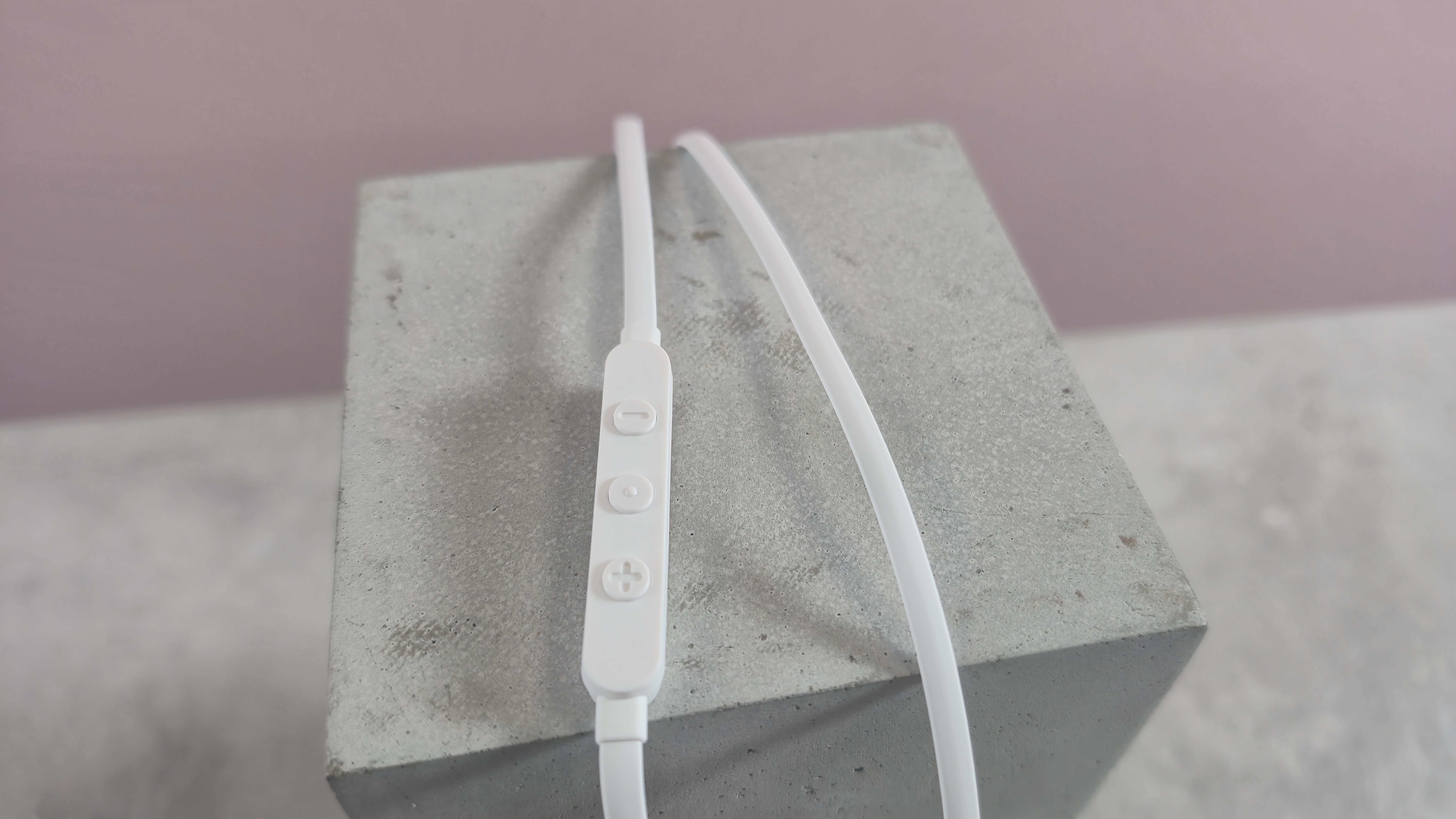thumbnail image 2 of JBL Tune 305C Hi-Res In-Ear Wired Earbuds With Microphone USB-C Flat Cable 2 of 2