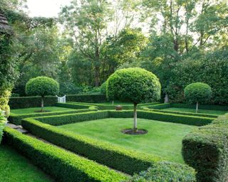 topiary standards and clipped box hedging parterre in garden of paolo Moschino and Philip Vergeylen
