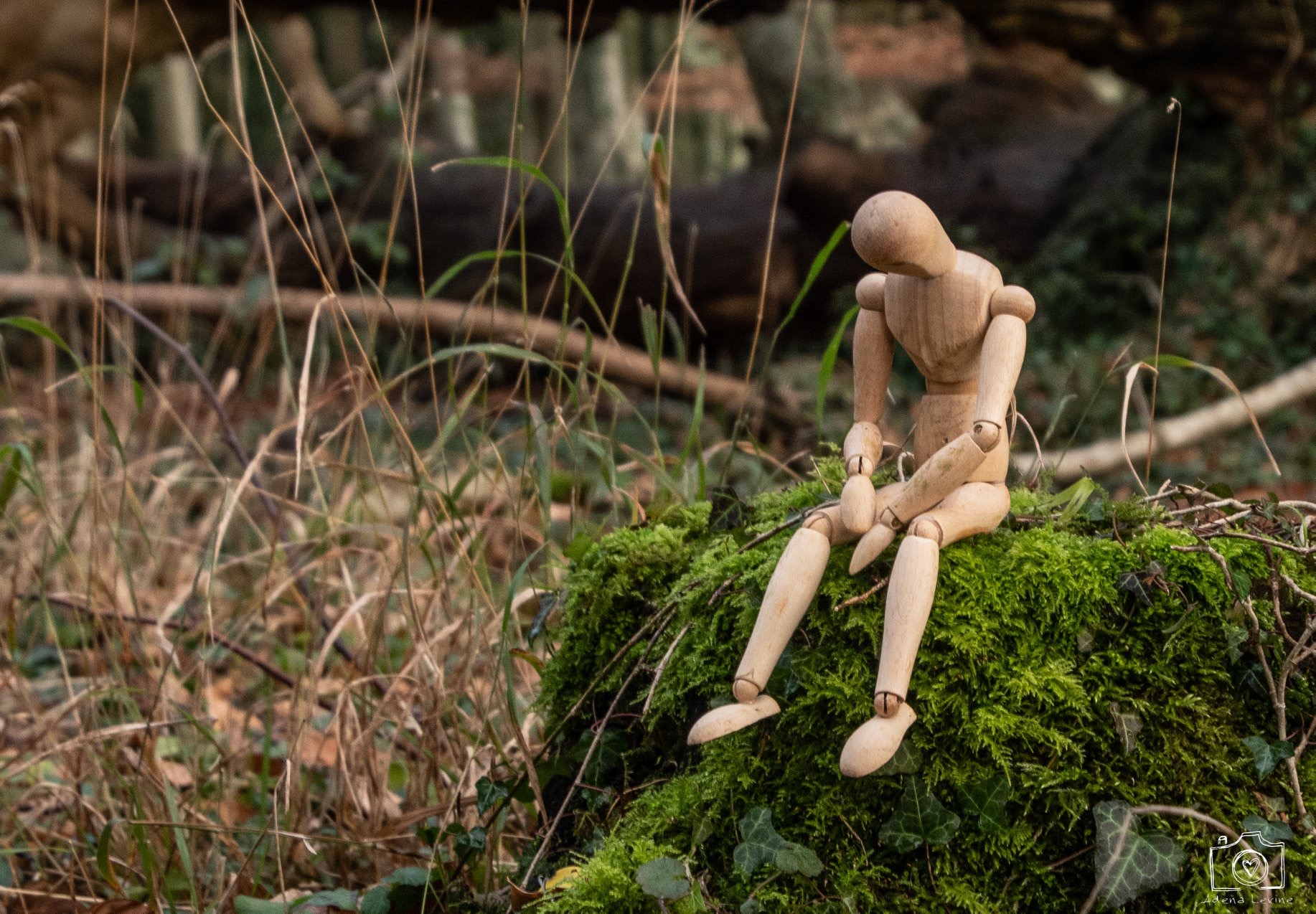 GuruShots - February 2026