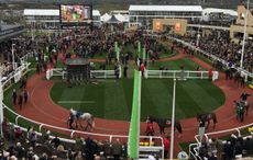 cheltenham.jpg