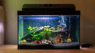 Black fish tank on the side with a light