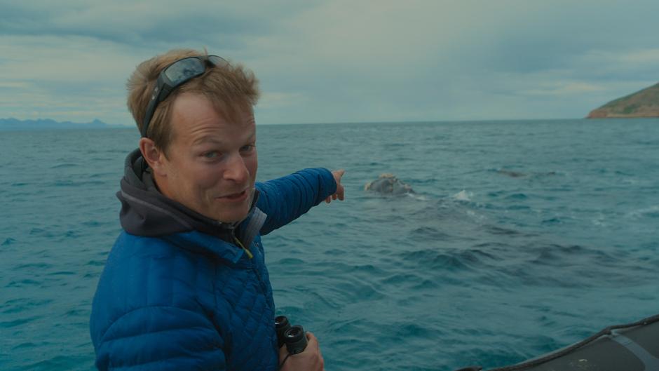 Sharks Up Close with Bertie Gregory
