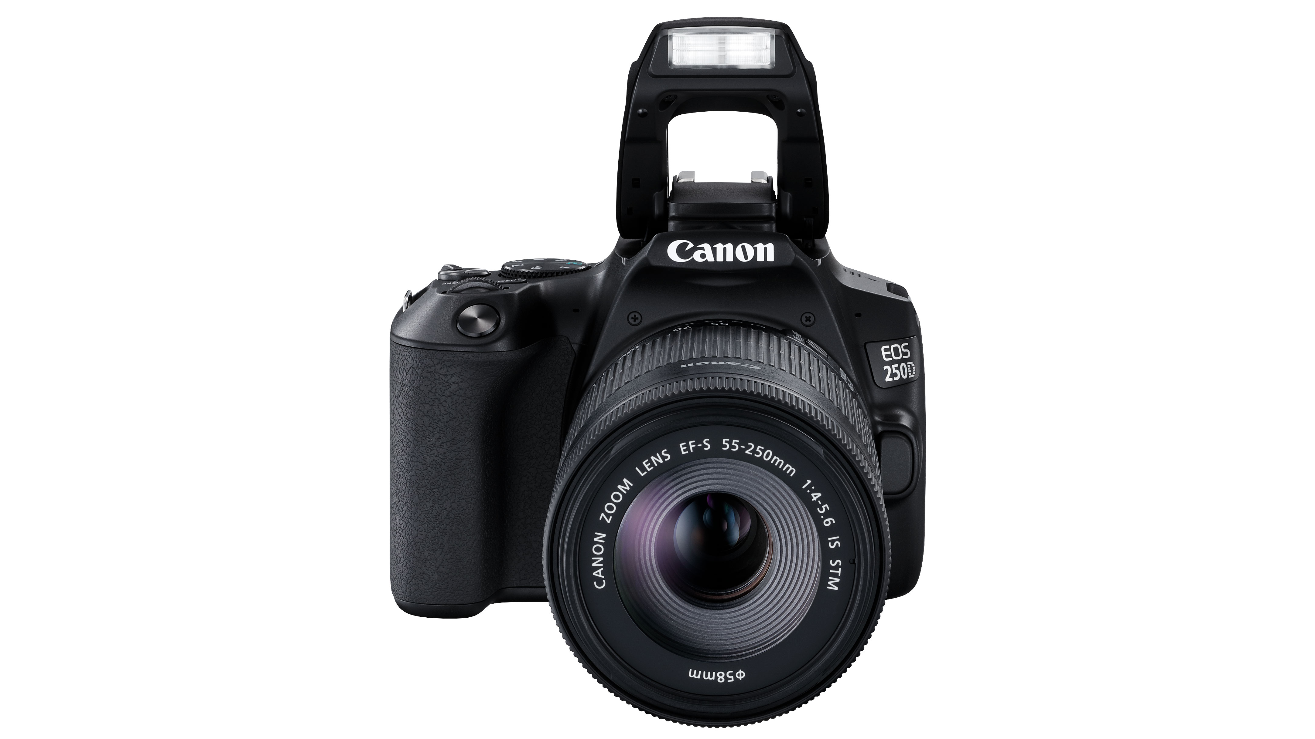 For regular stills photography the EOS 250D/Rebel SL3 has few advantages over the EOS 200D/Rebel SL2, but for video fans, novice users and smartphone upgraders, the newer model has real appeal.