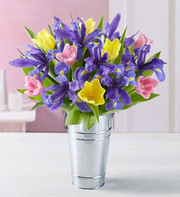 Spring Tulip &amp; Iris + Free Premium Vase: Was $46.99