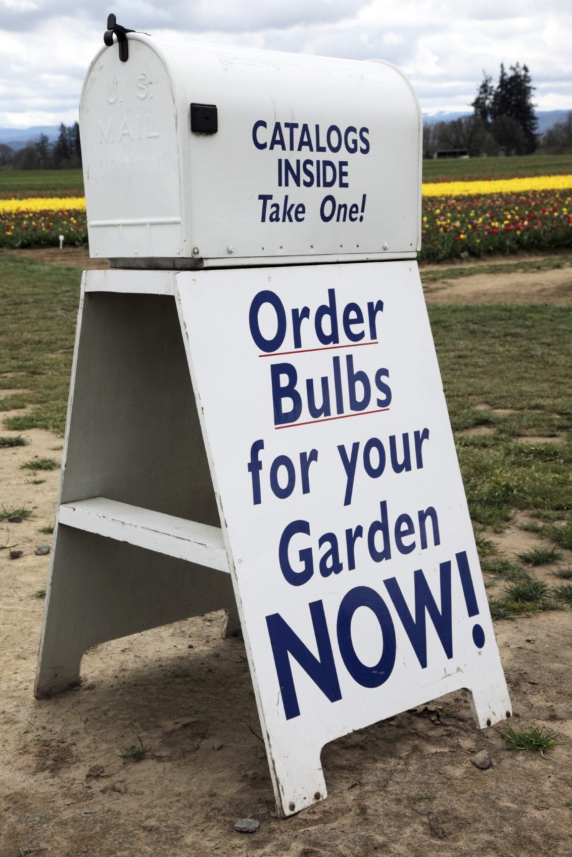 White Mail Box With Bulb Sale Sign Underneath