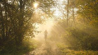 The National Cycle Network