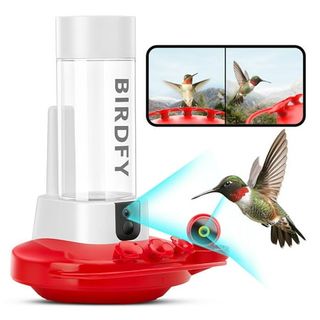 Hummingbird Feeder With Camera