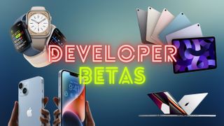 Apple developer betas