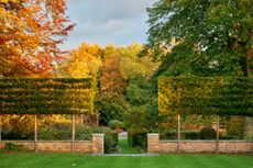 A pleached hedge of Malus ‘Evereste’ at Blackland House.