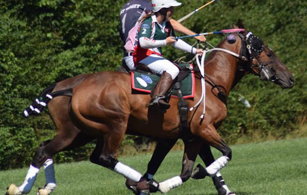 polocrossefeature.jpg