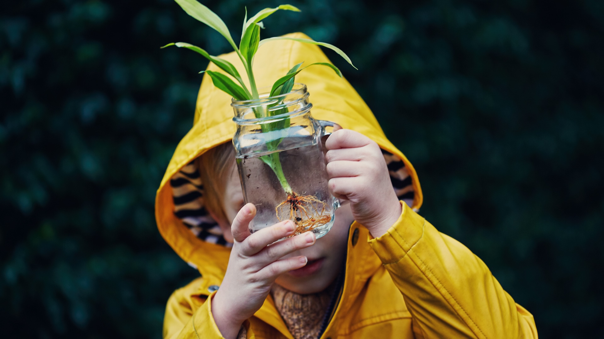 a child in a yellow rain jacket holds up a jar with a plant