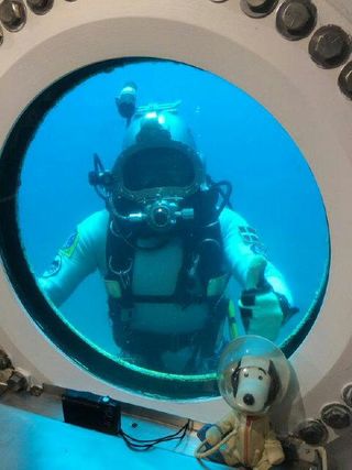 European Space Agency astronaut Andreas Mogensen peers into the Aquarius lab during NASA Extreme Environment Mission Operations (NEEMO) 19 in Sept. 2014.