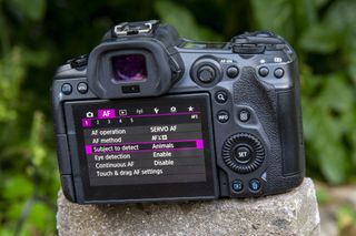 Setting screen of Canon EOS mirrorless camera