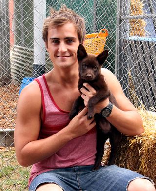 Meet Bossy, Kyle's new canine pal in Neighbours