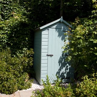 Small blue shed in garden