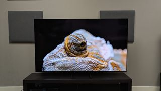 Samsung S85F with iguana on screen
