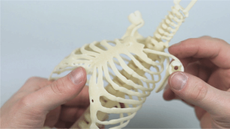 A 3D-printed ribcage, part of the new manikin.
