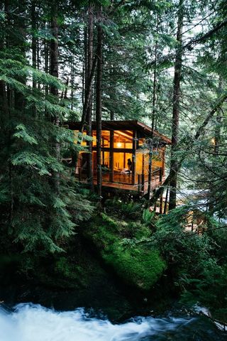 A rural spa tucked away in forest greenery.