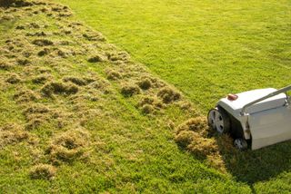 A scarifier working on a lawn