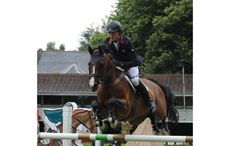 RDS Show Friday 08.08.14 Nations Cup Spencer Roe (GB) on Wonder Why