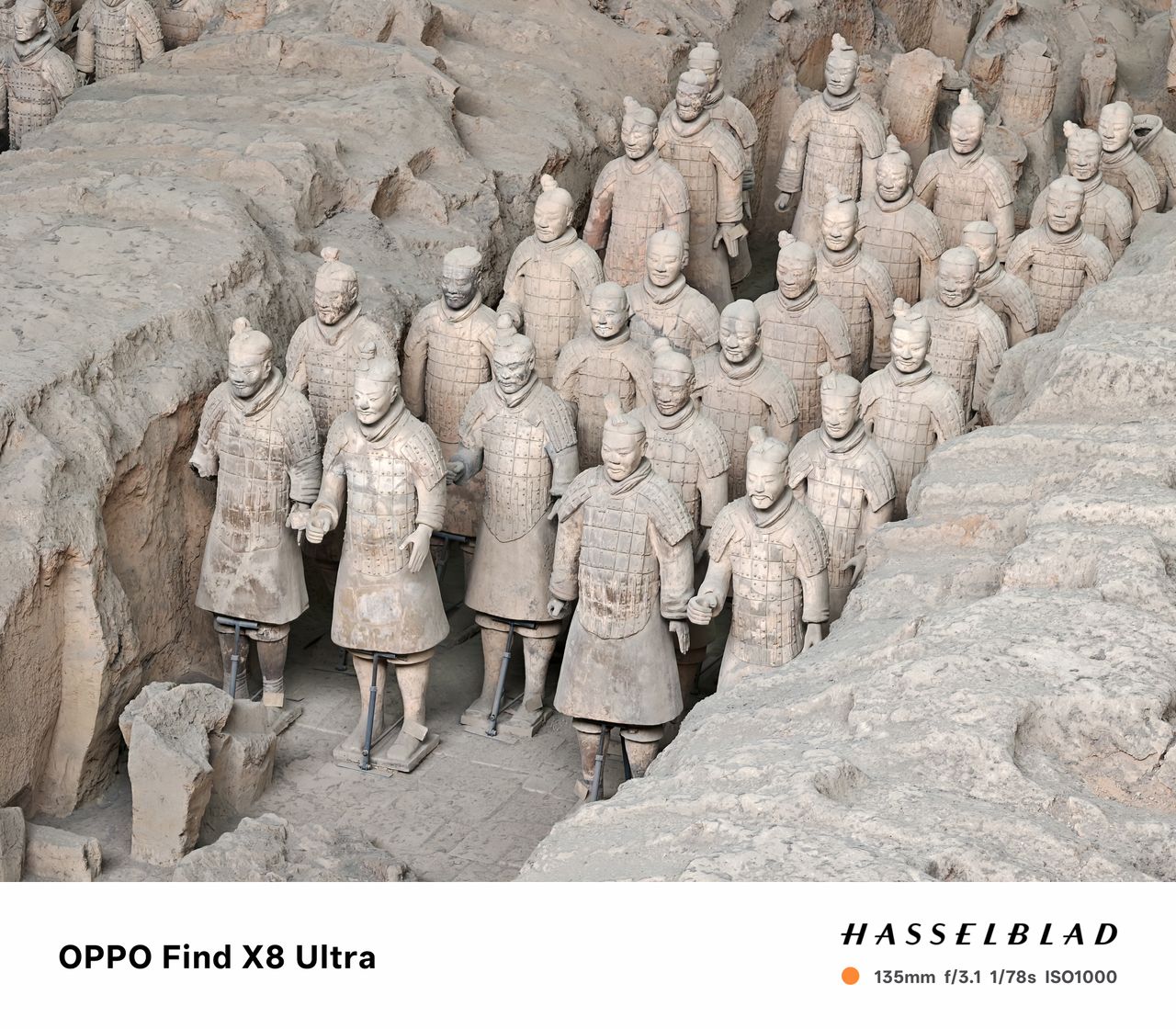 Rows of terracotta warriors