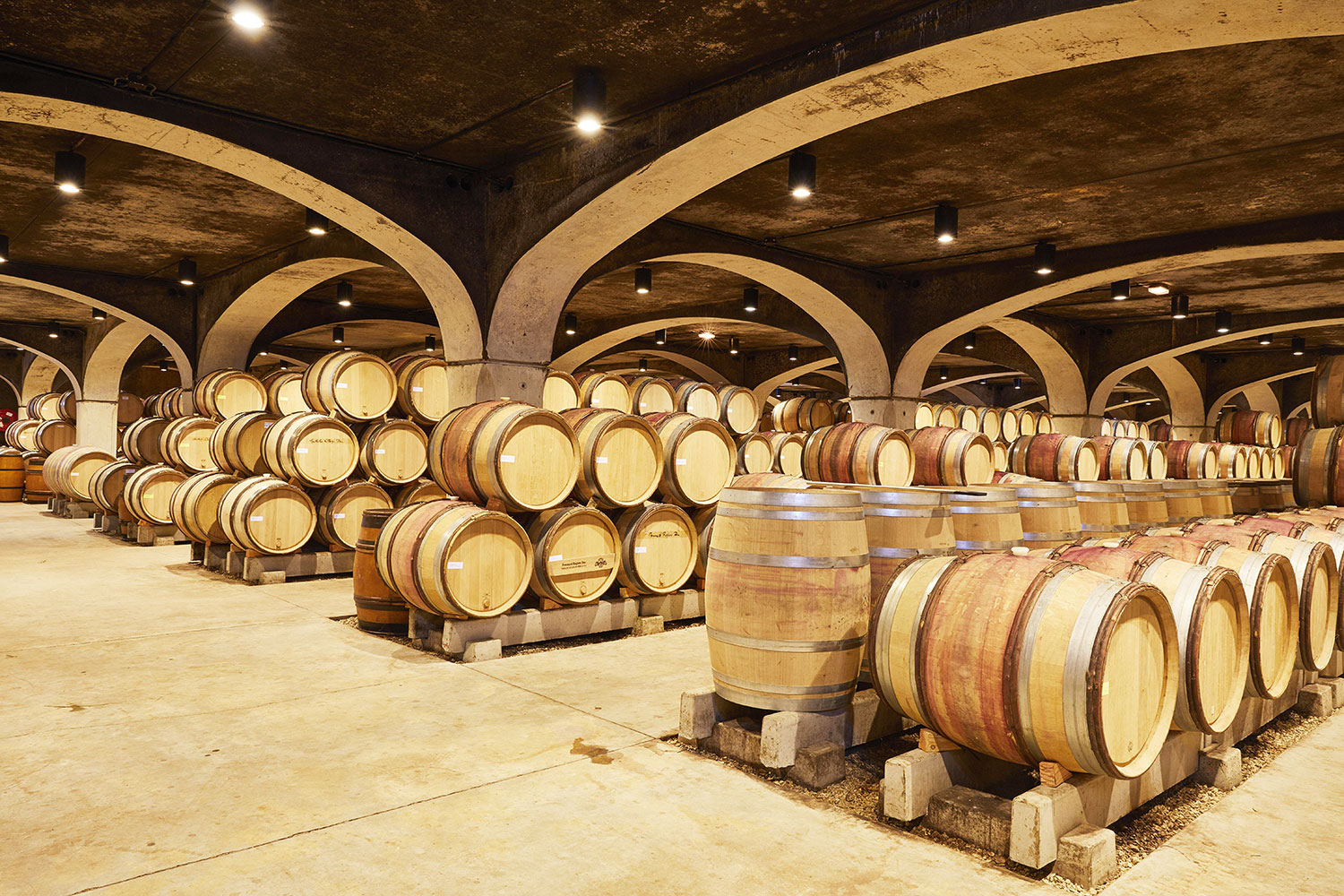New-cellar_Bouchard.jpg