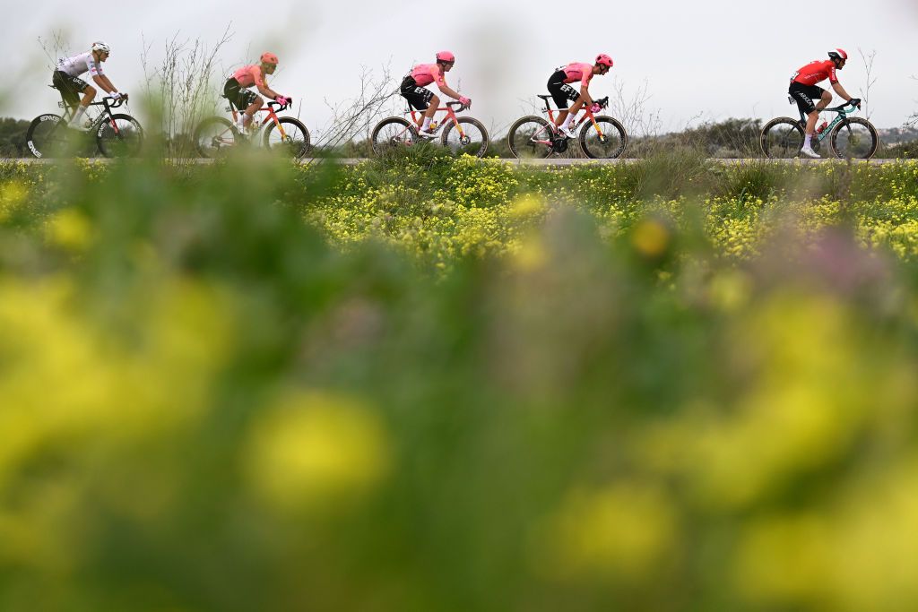 LAGOS PORTUGAL FEBRUARY 14 LR Nils Politt of Germany and UAE Team Emirates Michael Valgren of Denmark Stefan Bissegger of Switzerland Mikkel Frolich Honore of Denmark and Team EF Education EasyPost Daniel Mclay of The United Kingdom and Team Arkea BB Hotels and a general view of the peloton competing during the 50th Volta ao Algarve em Bicicleta 2024 Stage 1 a 2008km stage from Portimao to Lagos on February 14 2024 in Lagos Portugal Photo by Dario BelingheriGetty Images