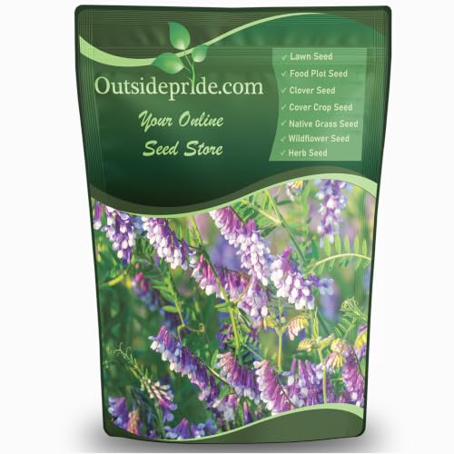 Outsidepride Hairy Vetch Cover Crop Seeds - 1 Lb Cold Tolerant, Winter Hardy - Ideal for Soil Improvement, Green Pasture, Hay &amp;amp; Livestock Forage - Pollinator Friendly Garden Seeds, Ground Cover
