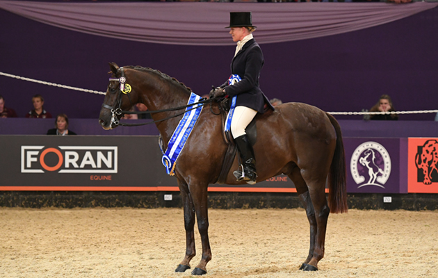HOYS 04 10 2018