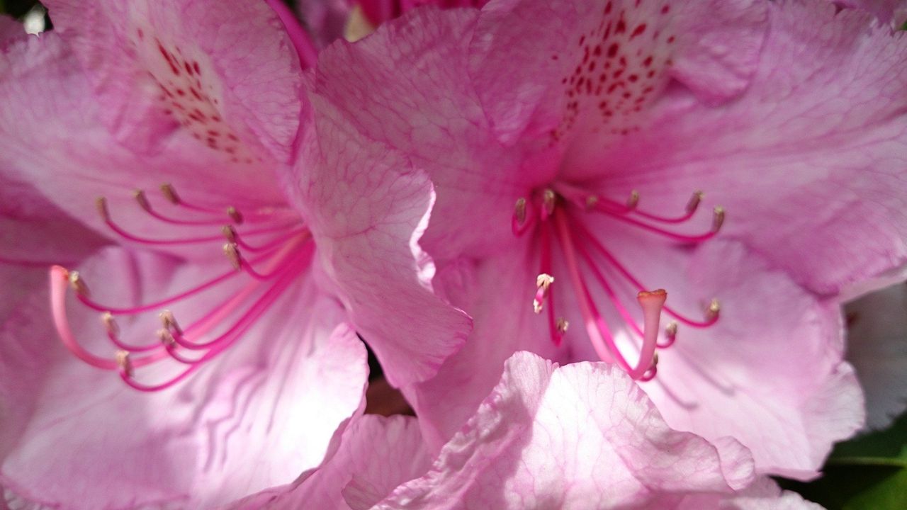 Sony Xperia Z2 camera sample