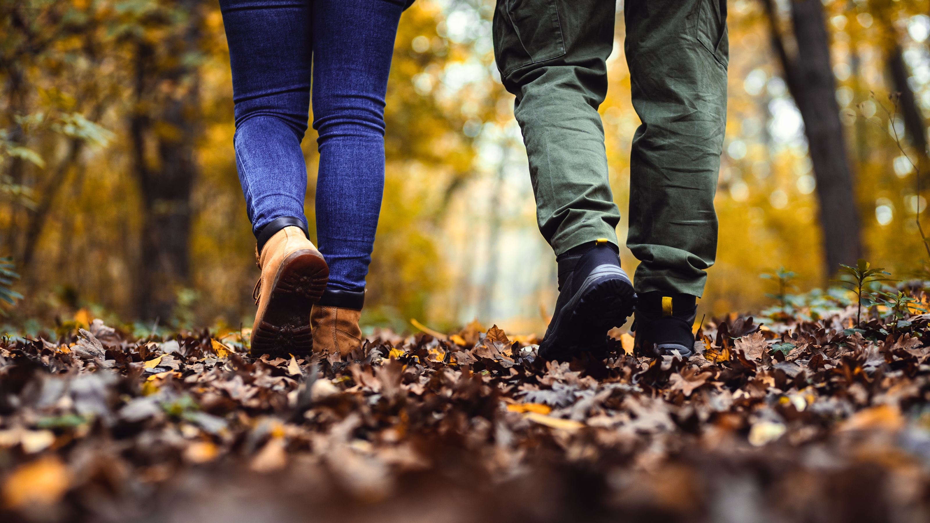 A couple walk through fallen leaves in the woods.