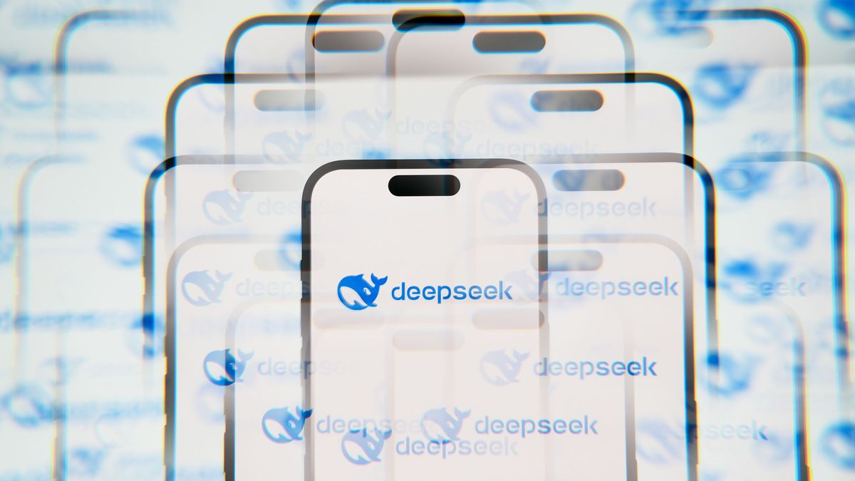 DeepSeek logo is seen on a mobile screen.