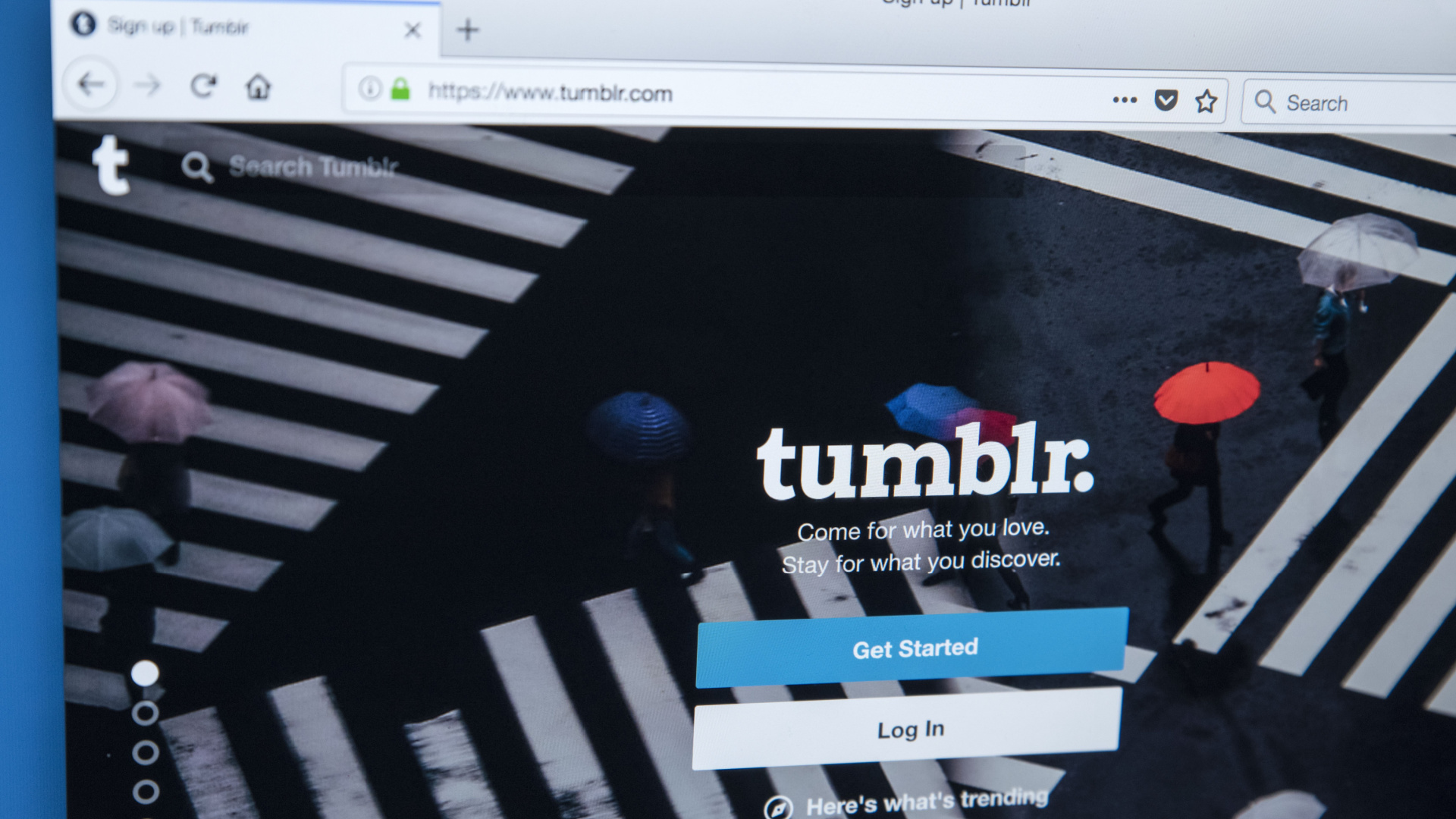 Tumblr Login