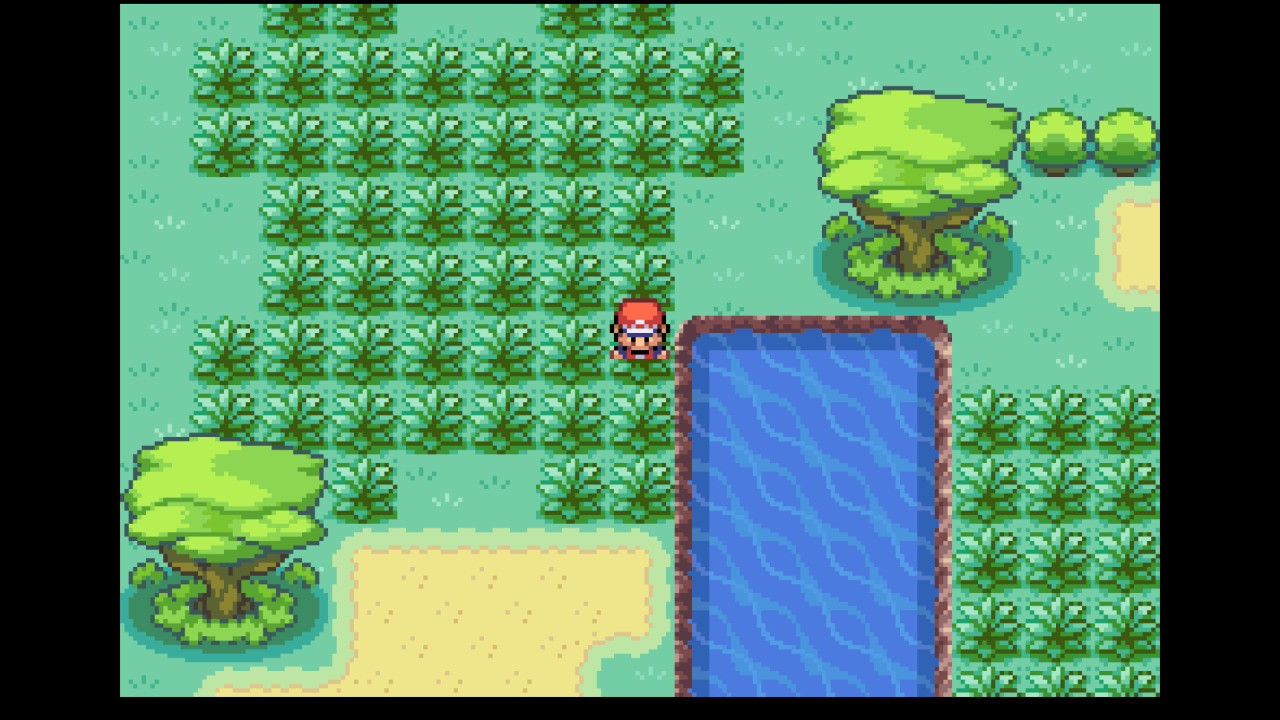 The grassy safari zone