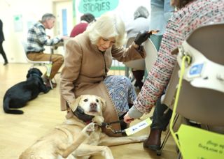 Queen Camilla sitting on the floor in a tan coat petting a golden retriever at a museum