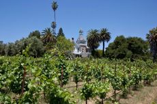 Spring Mountain Vineyard