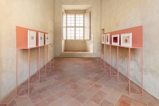 Photographs by Luigi Ghirri for Marazzi, shown on pink displays inside Palazzo Ducale, Sassuolo
