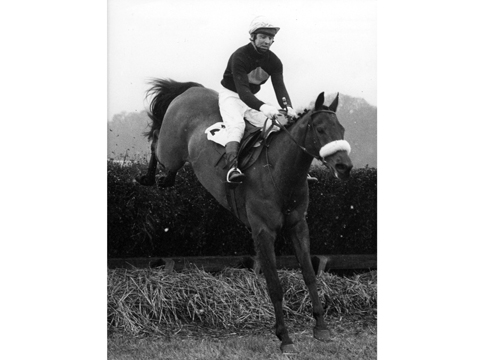 Red Rum